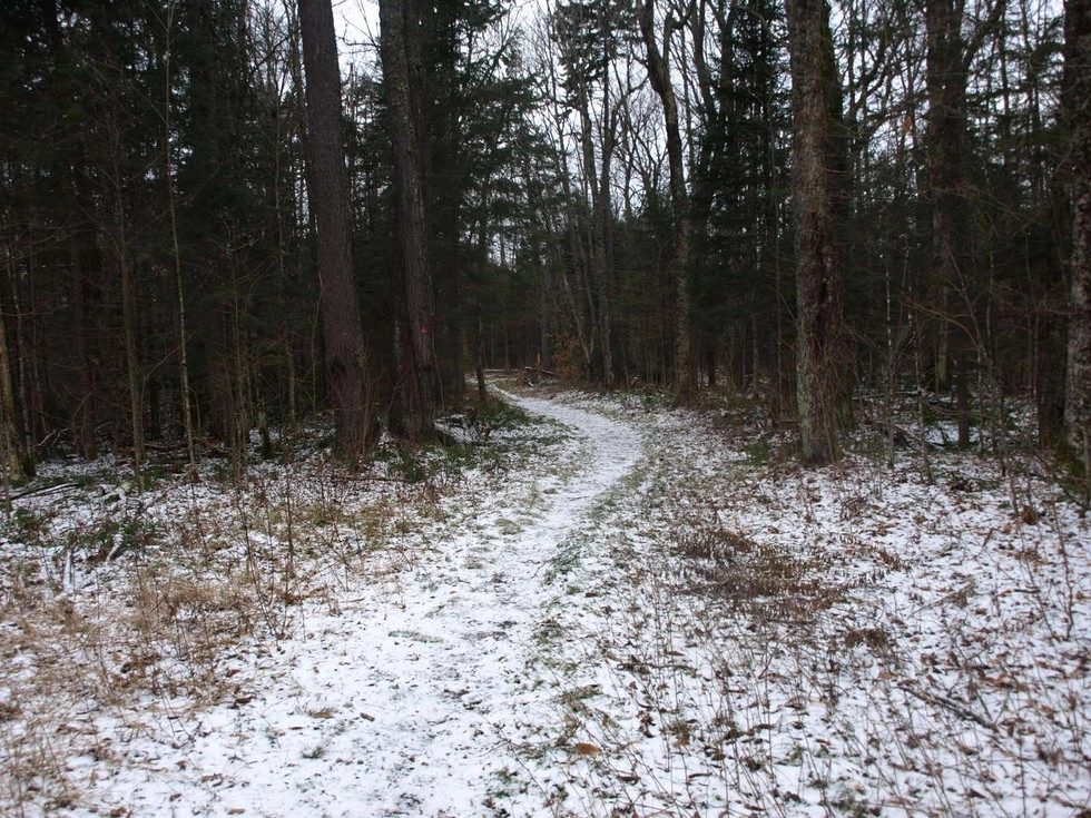 Late in the fall, first snowfall, and a crisp day perfect for hiking.
