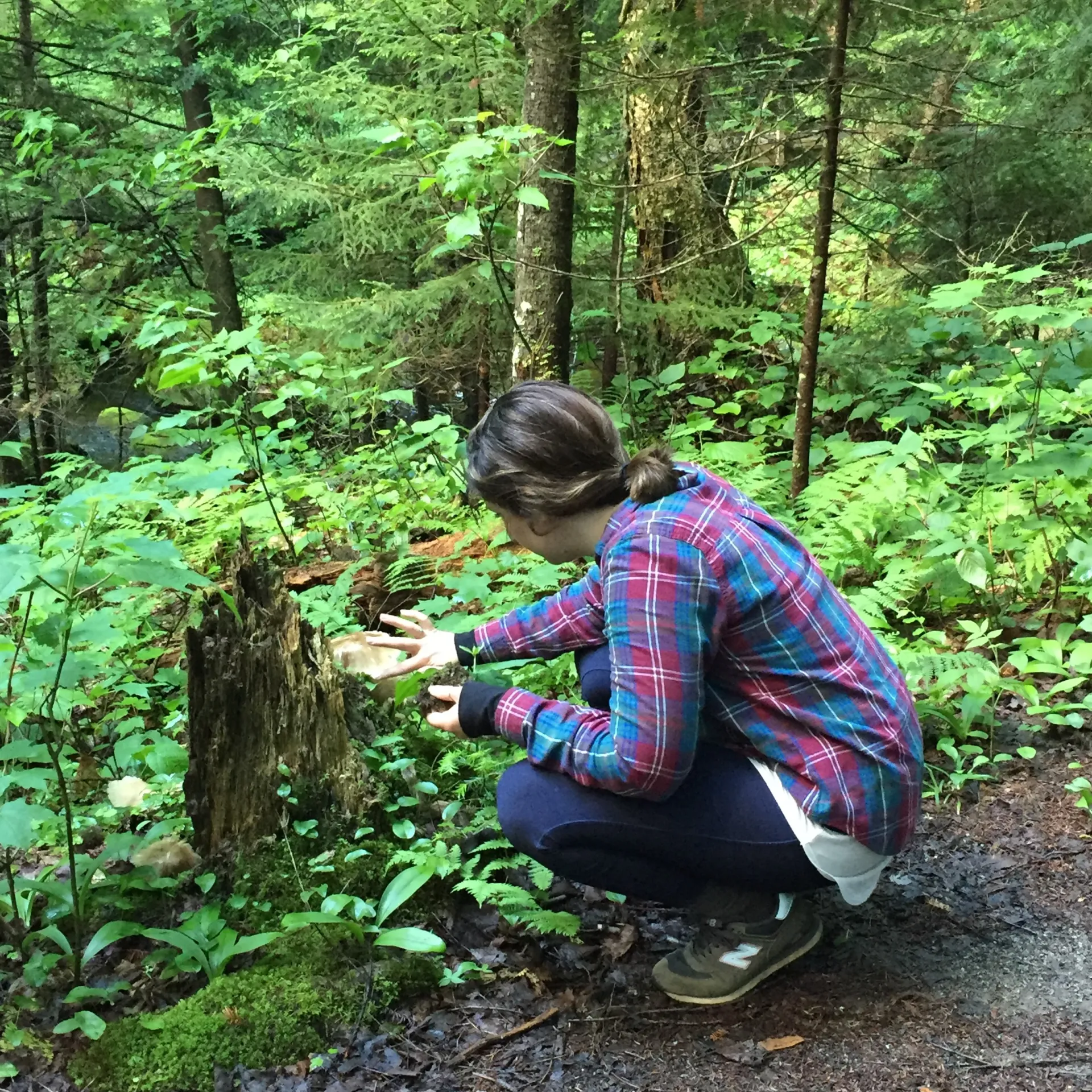 A crouching woman in plaid inspects the fungi on a stump.