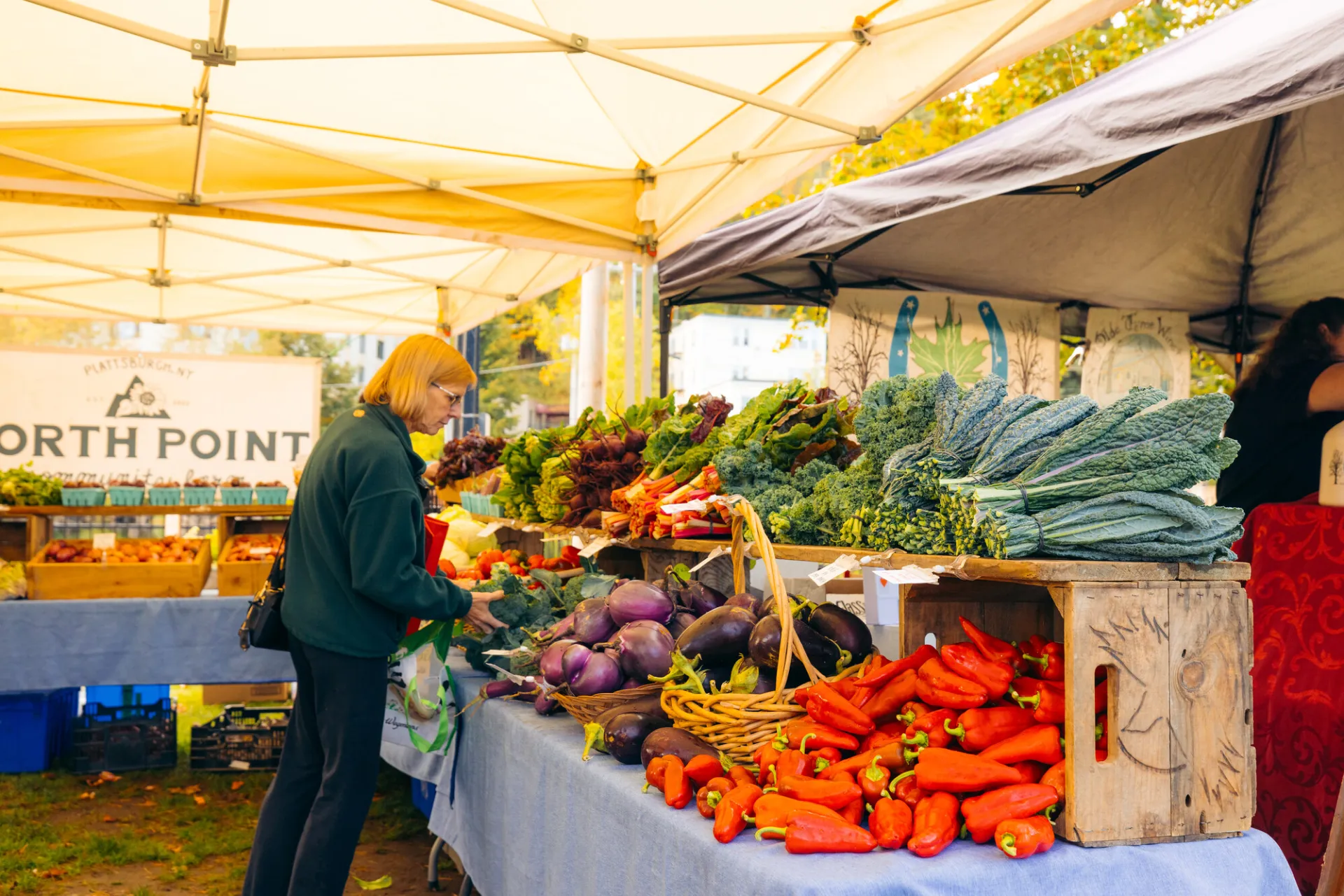 Saranac Lake Farmers' Market.