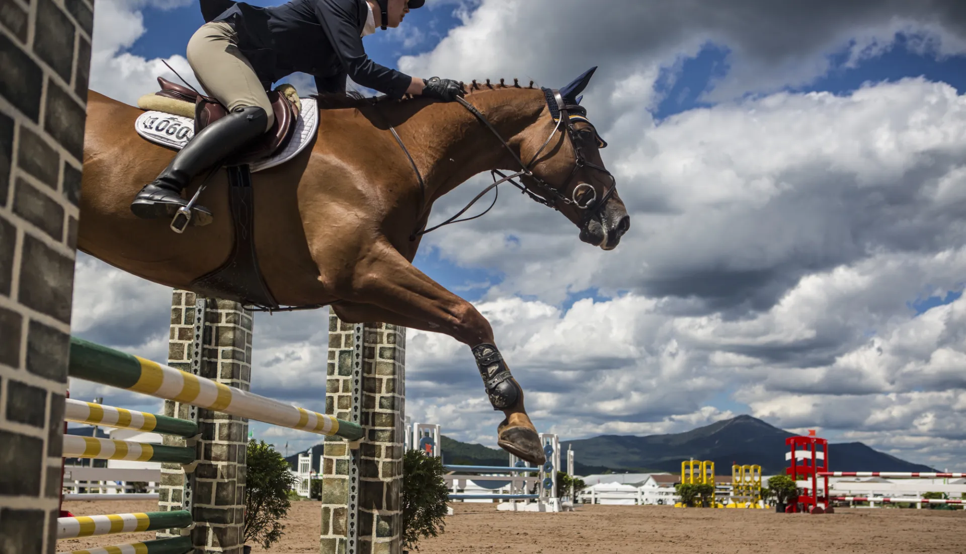 Horse Jumping in Lake Placid