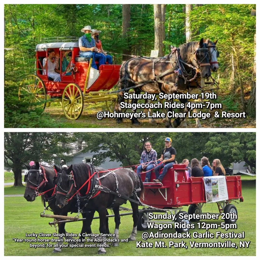 Draft Horses - two photos
