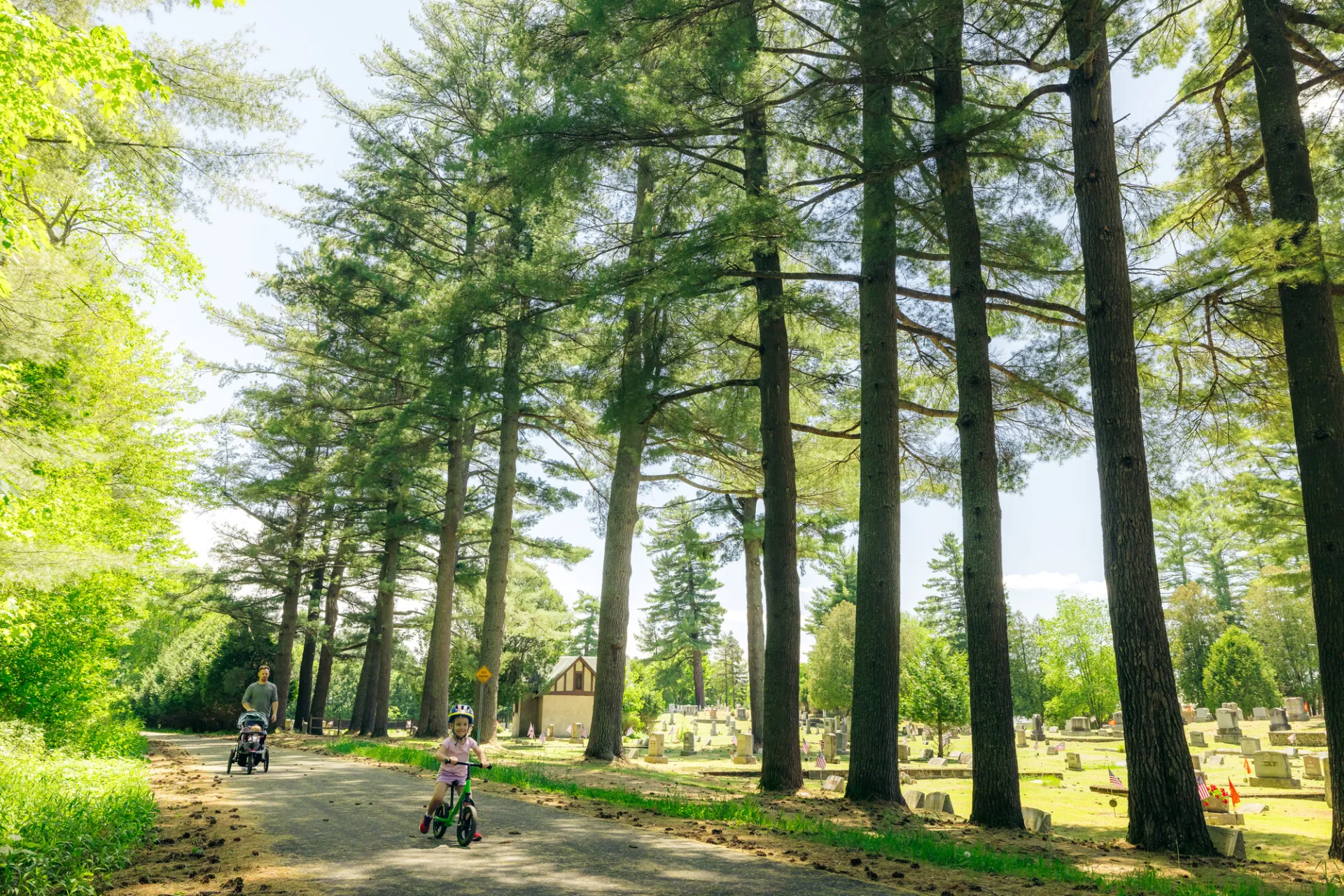 A family cycles by large pine trees