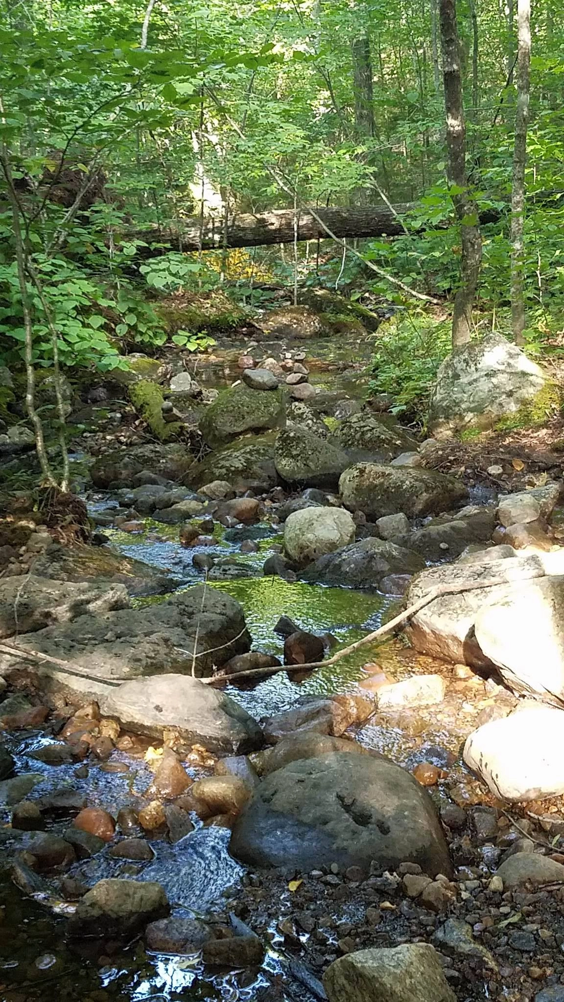 A rocky stream