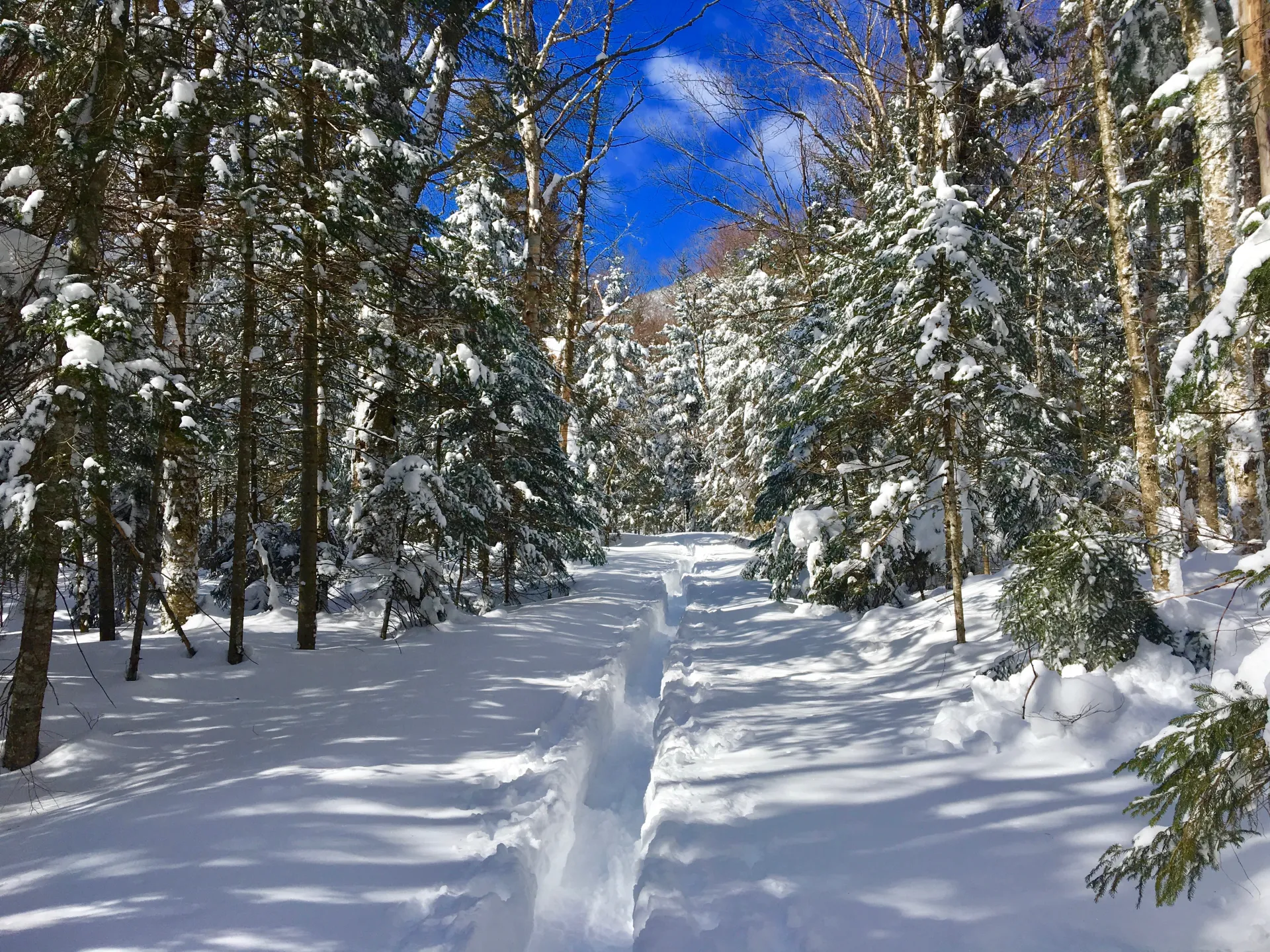The Jackrabbit Trail is a popular choice.
