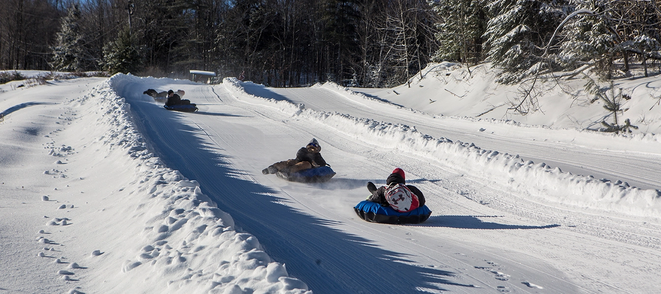 A bunch of tubers at Mt Pisgah