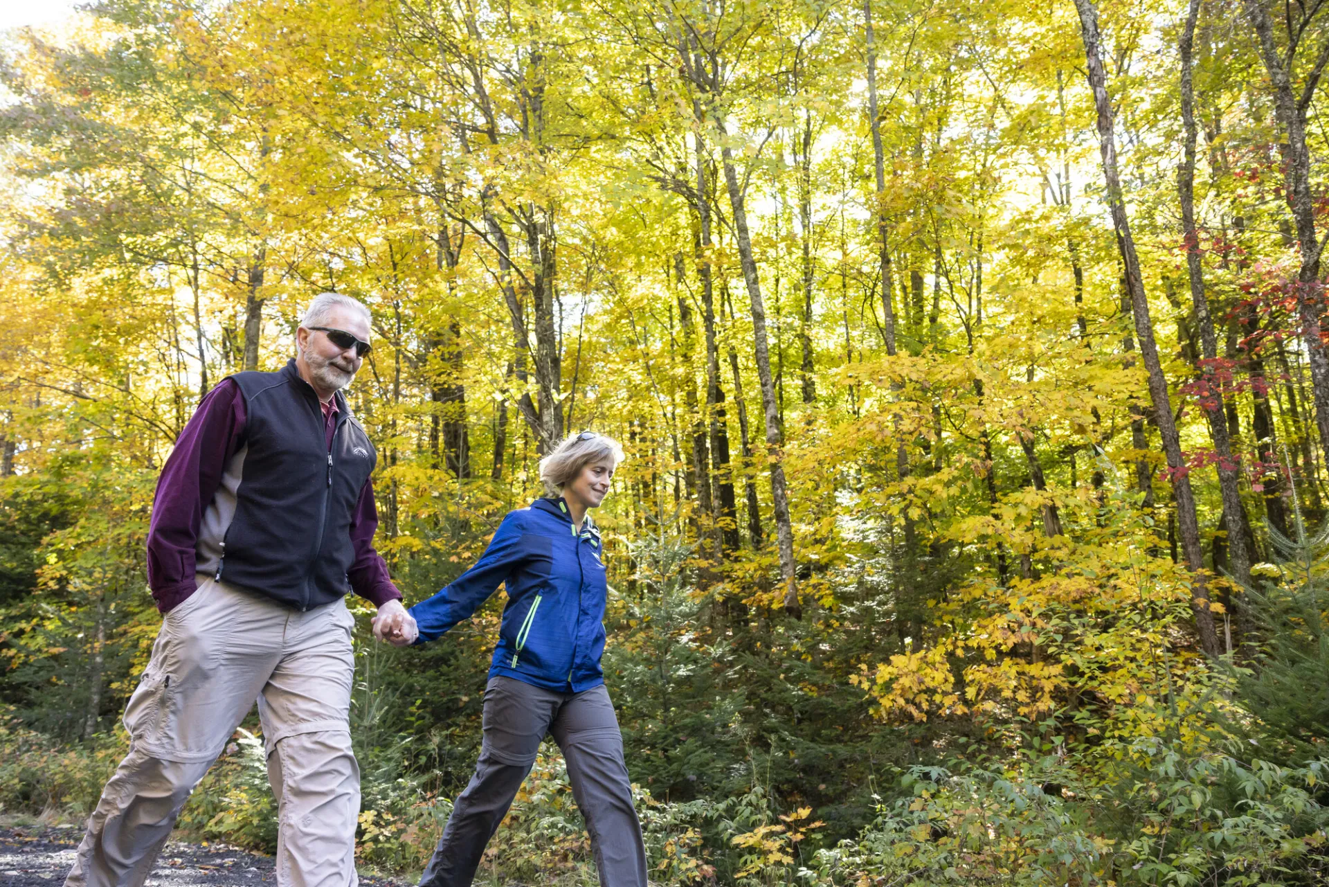 A fall walk in Saranac Lake.