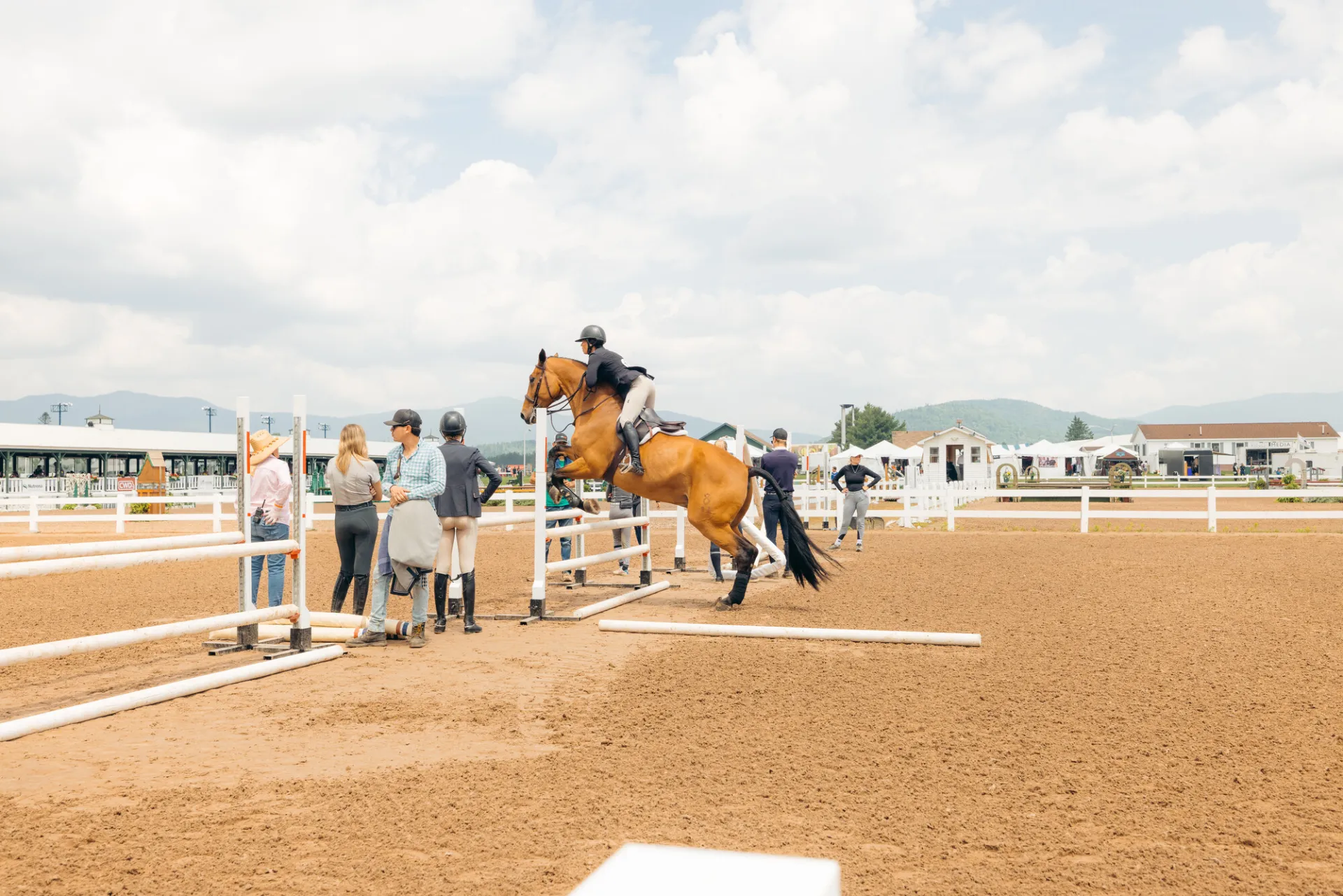 A horse jumping over an obstacle.