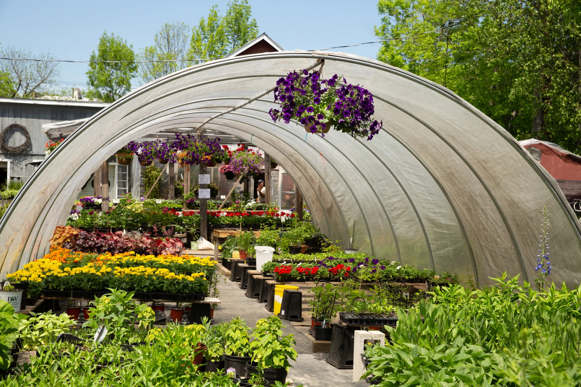 A greenhouse in Saranac Lake.