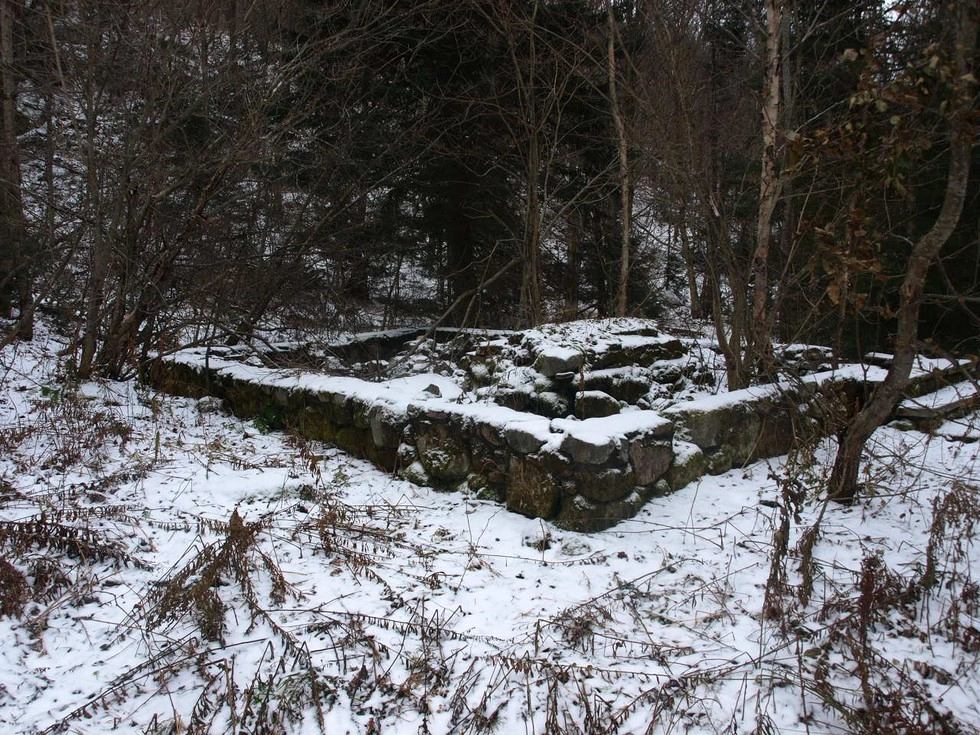 Look for the foundation of a cabin.