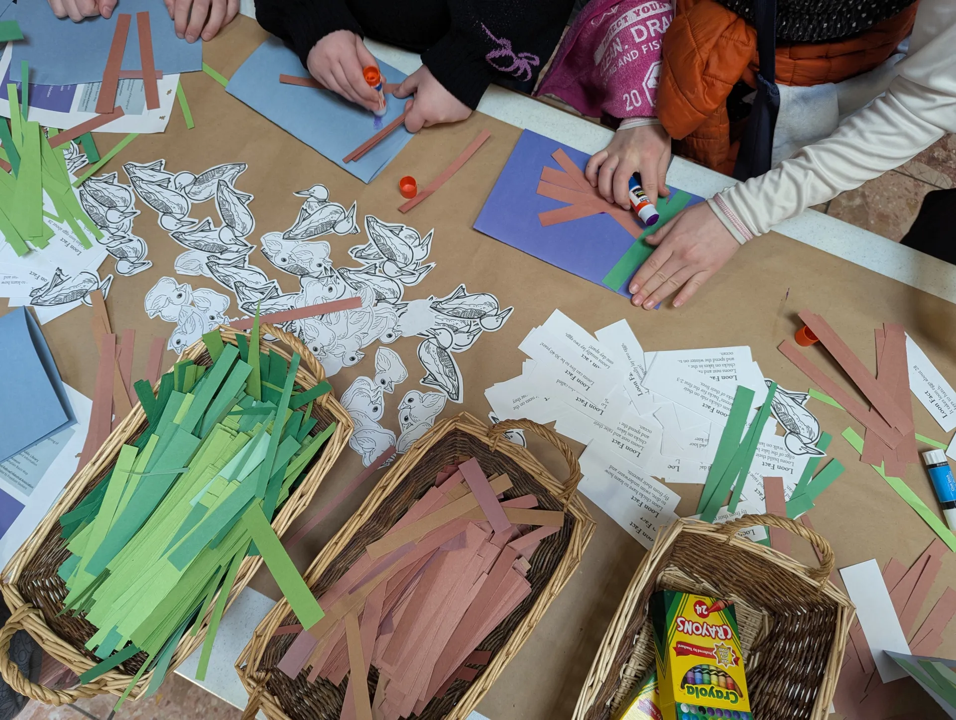 Crafting a nest activity with the center for loon conservation