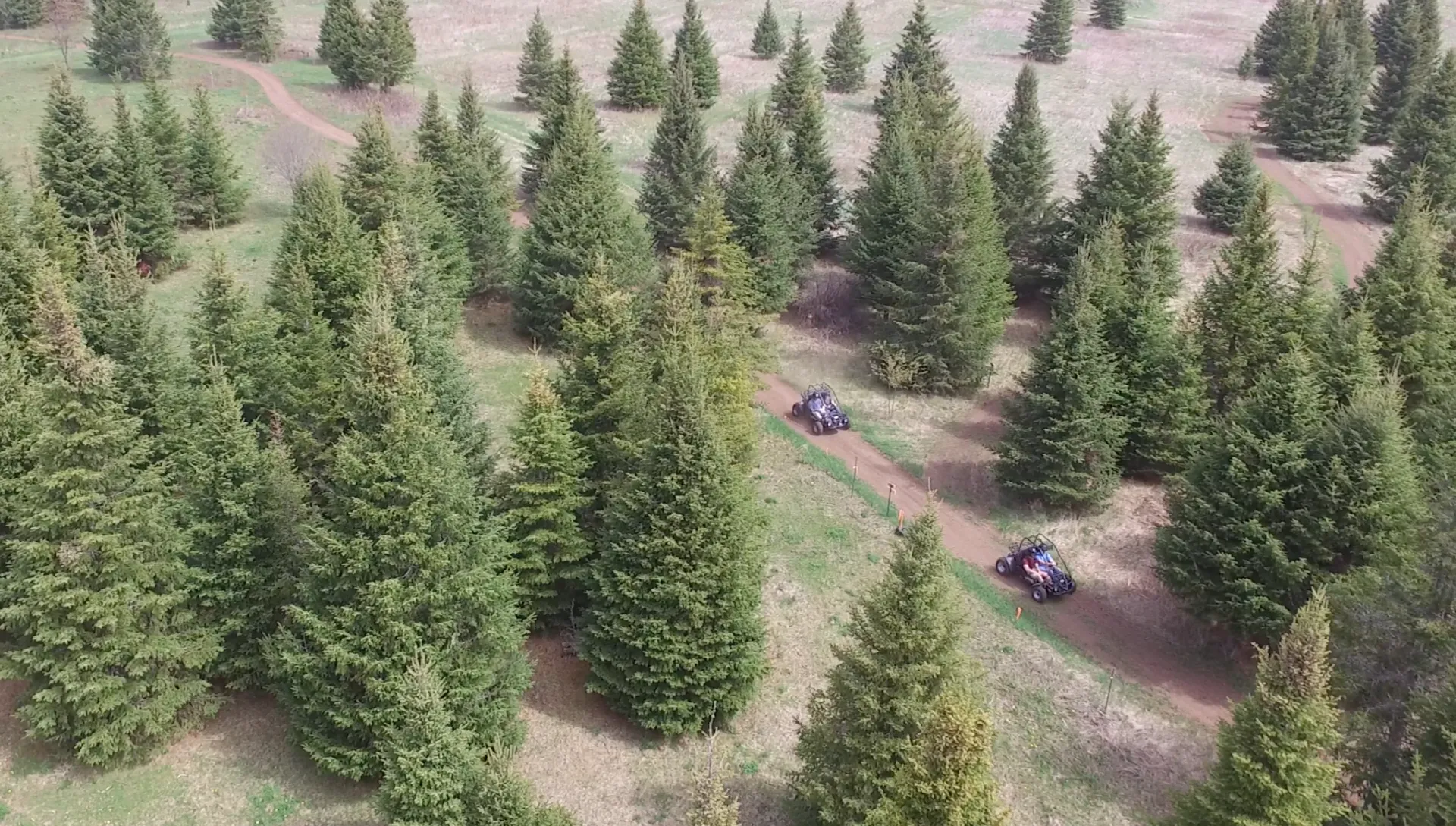 Aerial view of the path through the woods you will travers in the side by sides  