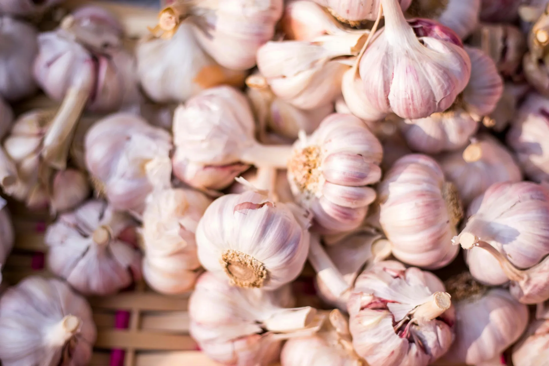A close-up shot shows a dense pile of fresh garlic bulbs with light purple-streaked husks resting in a woven basket.