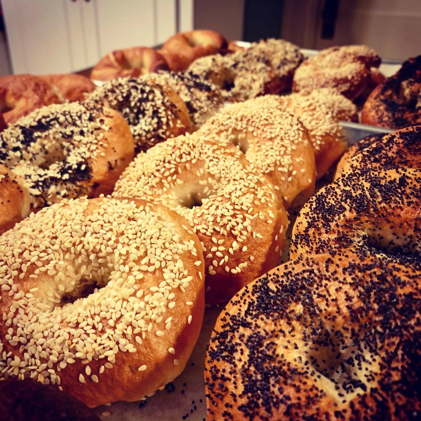 Bagels with various toppings