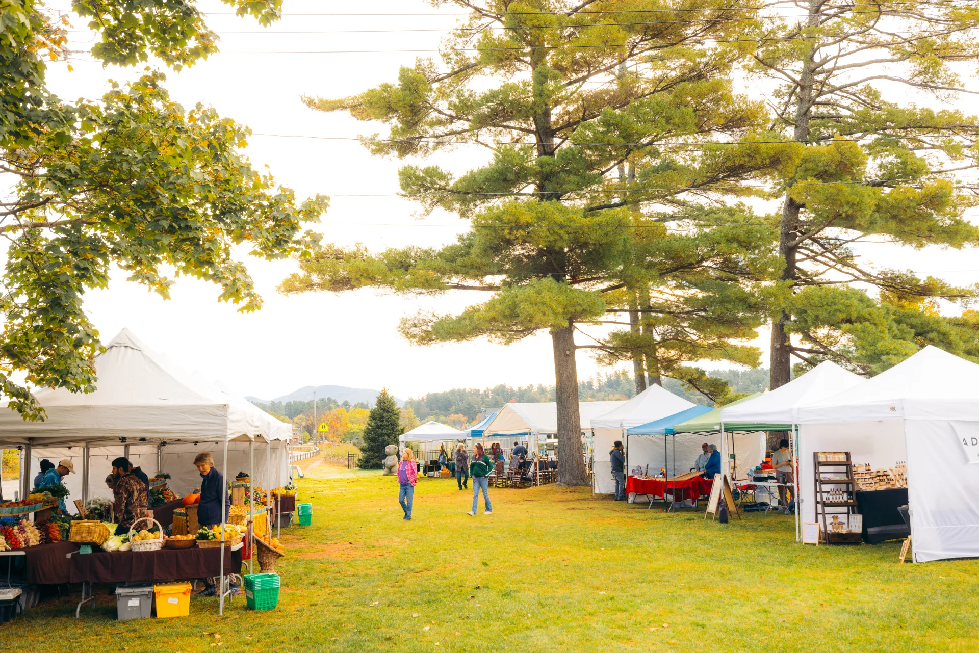 Saranac Lake farmers market in the fall.
