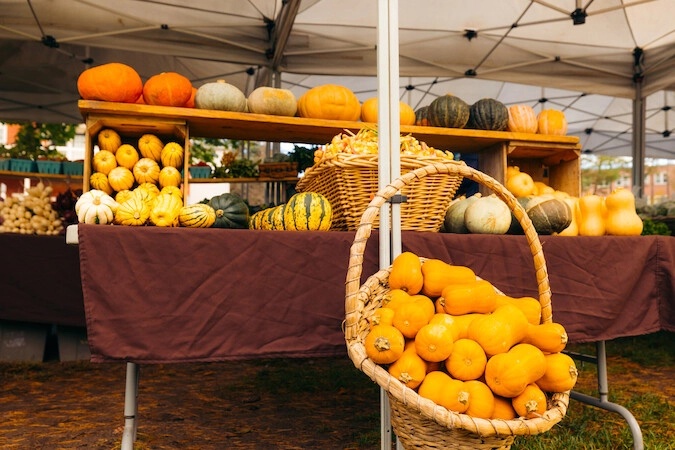 table under tent with fall pumpkins, squash, etc. 