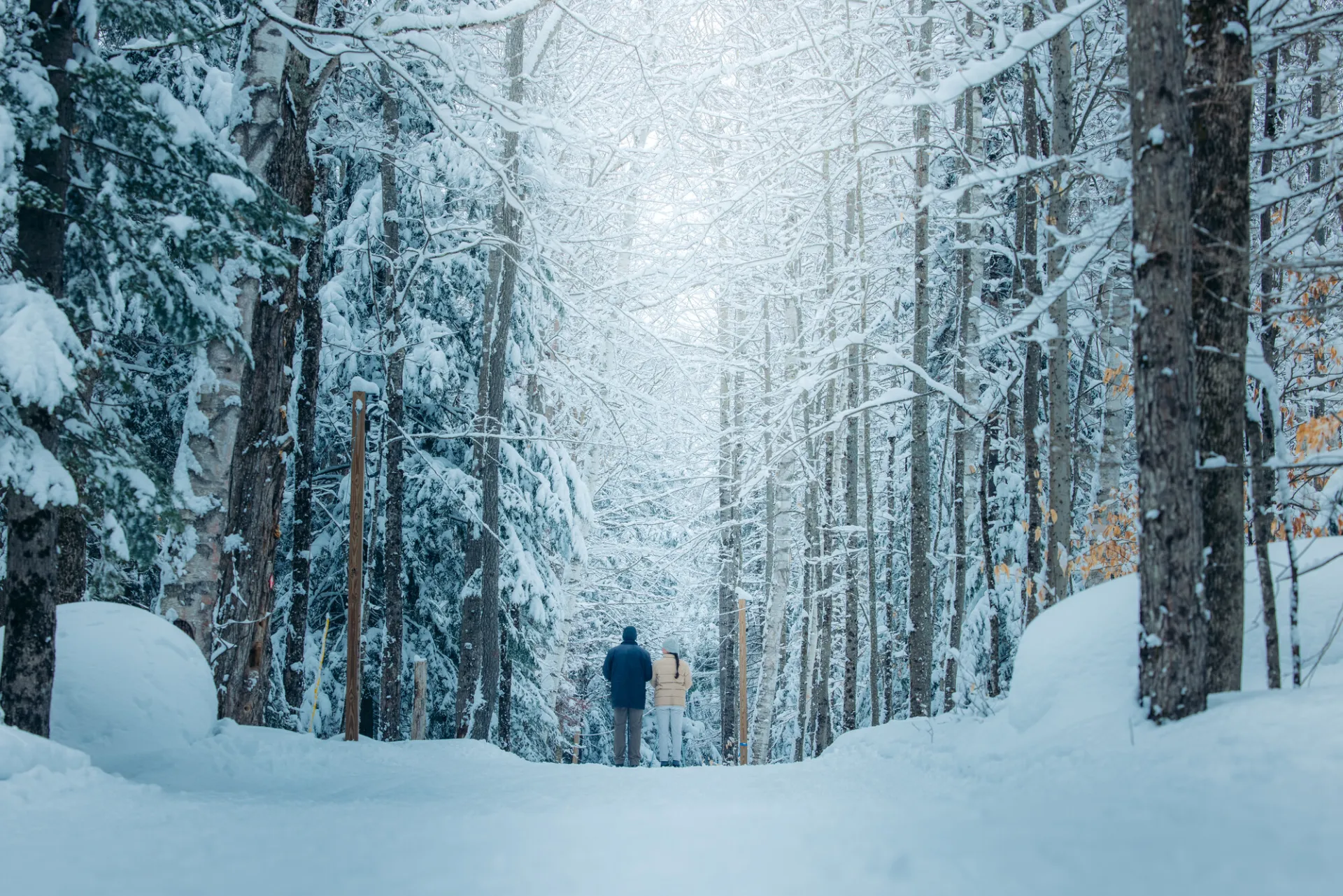 A couple in a snowy woods in Saranac Lake.