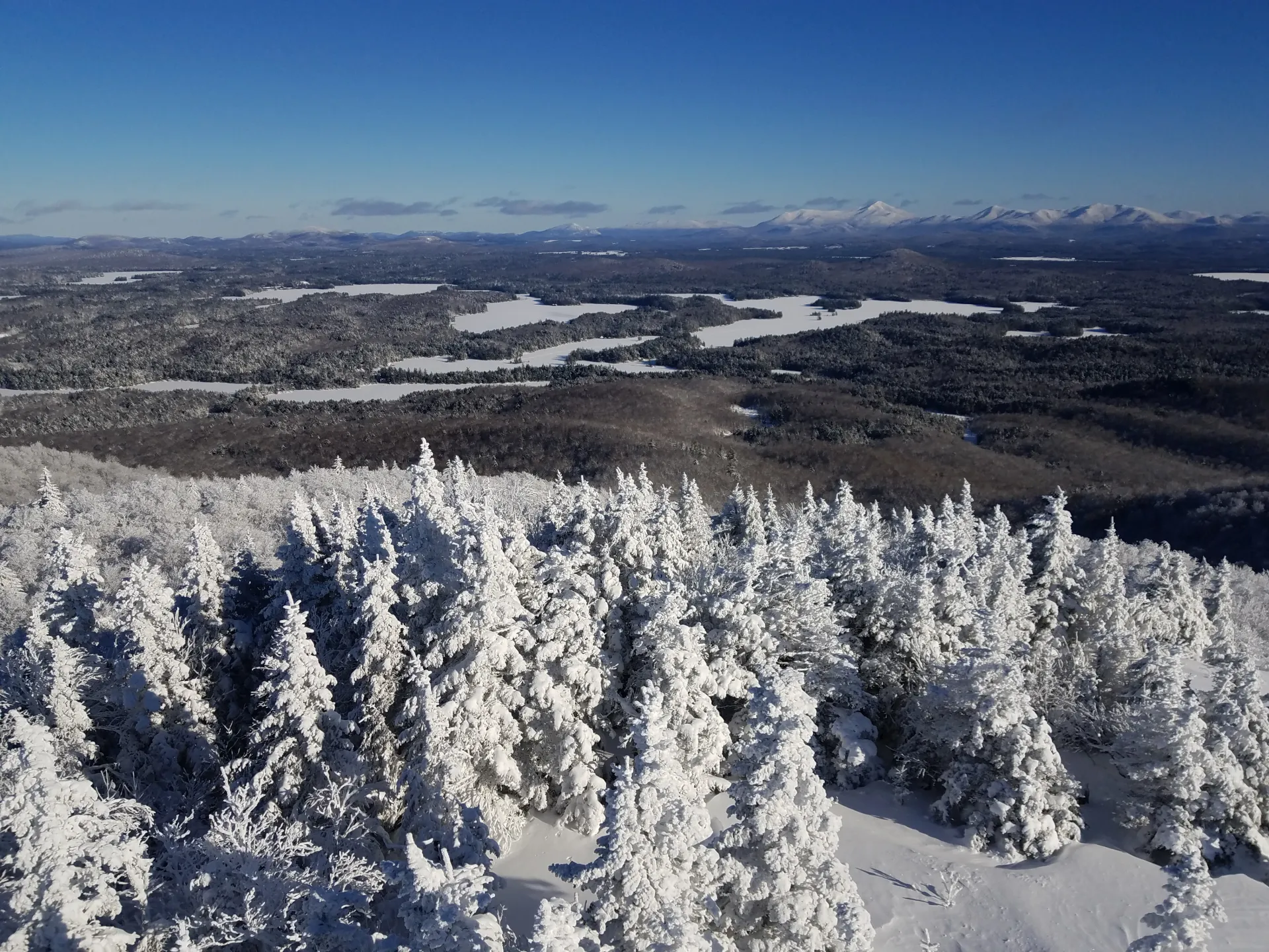 View from St Regis fire tower
