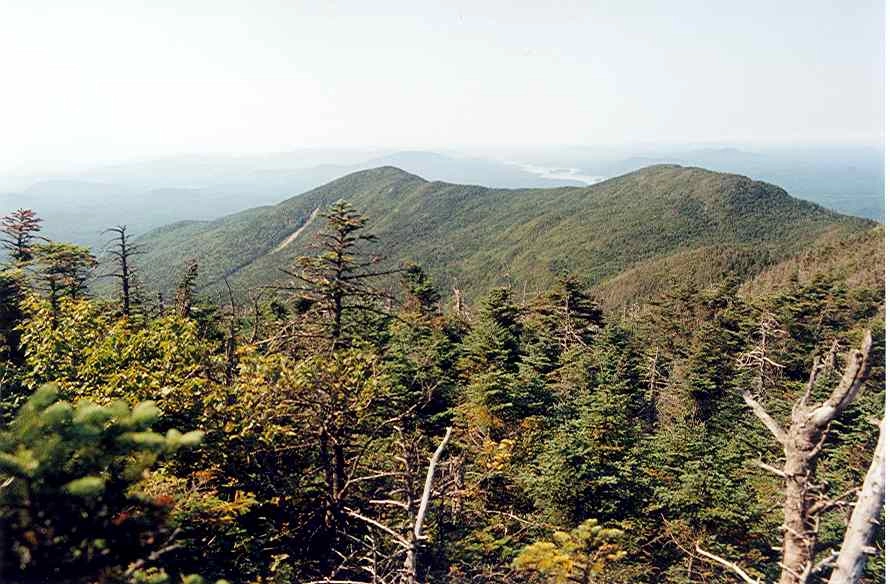A mountain range in the summer