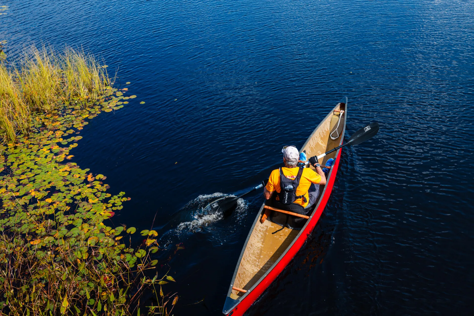 A person in a yellow shirt paddles a long, slender red canoe through deep blue water past a patch of lily pads.