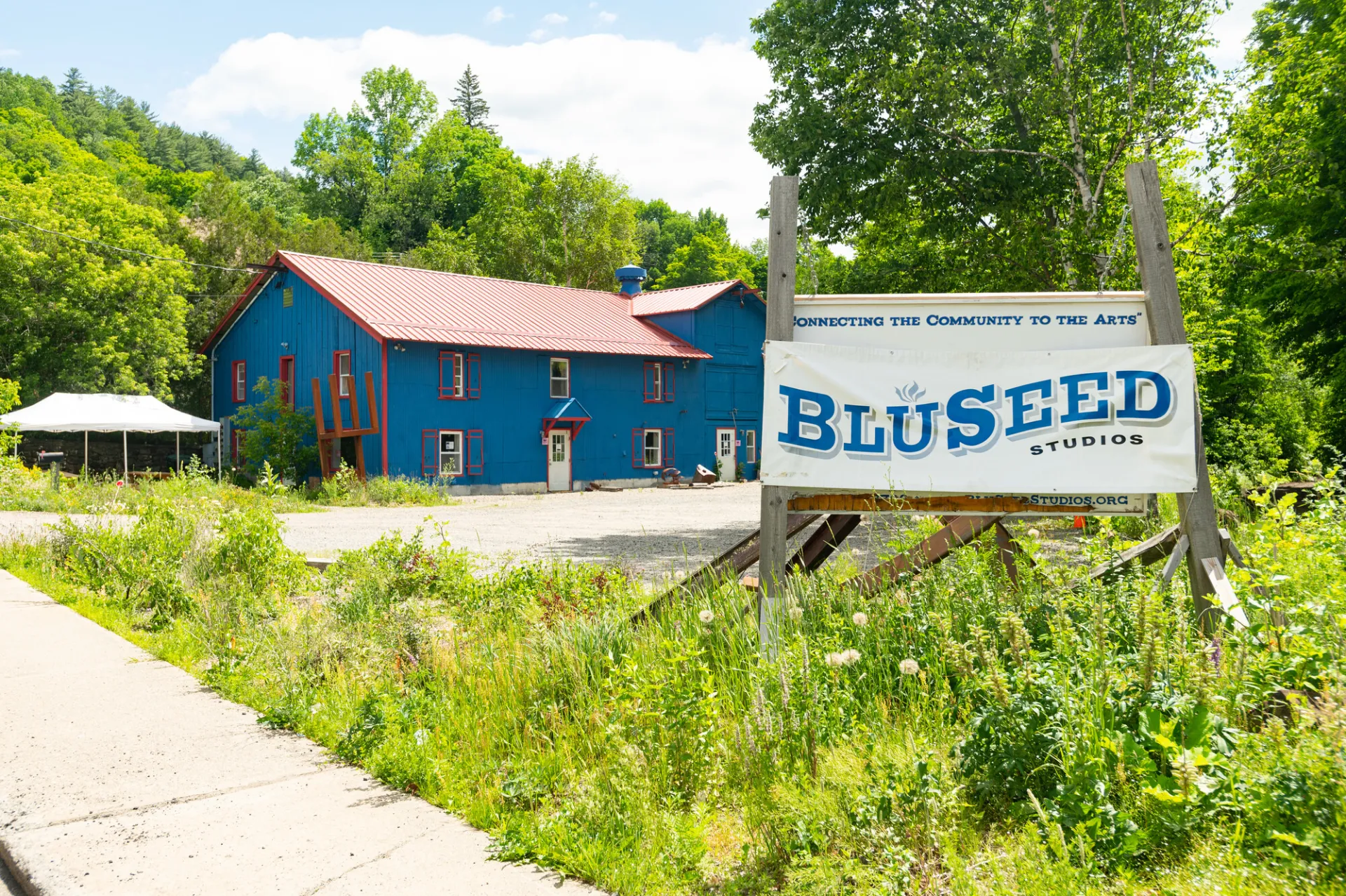 bluseed now cedar street
