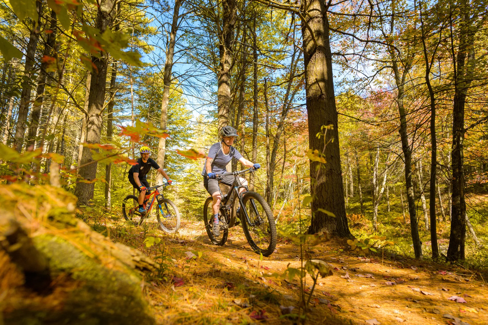 Fall mountain biking in Saranac Lake.