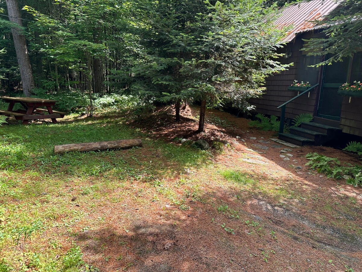 The wooded outdoor space at Rockledge Cabins & Retreats 
