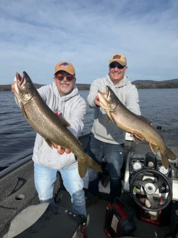 Two men each holding a huge fish.
