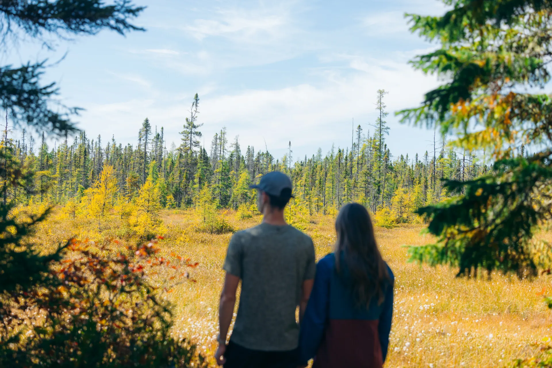 A man and woman look out to marshland in fall.