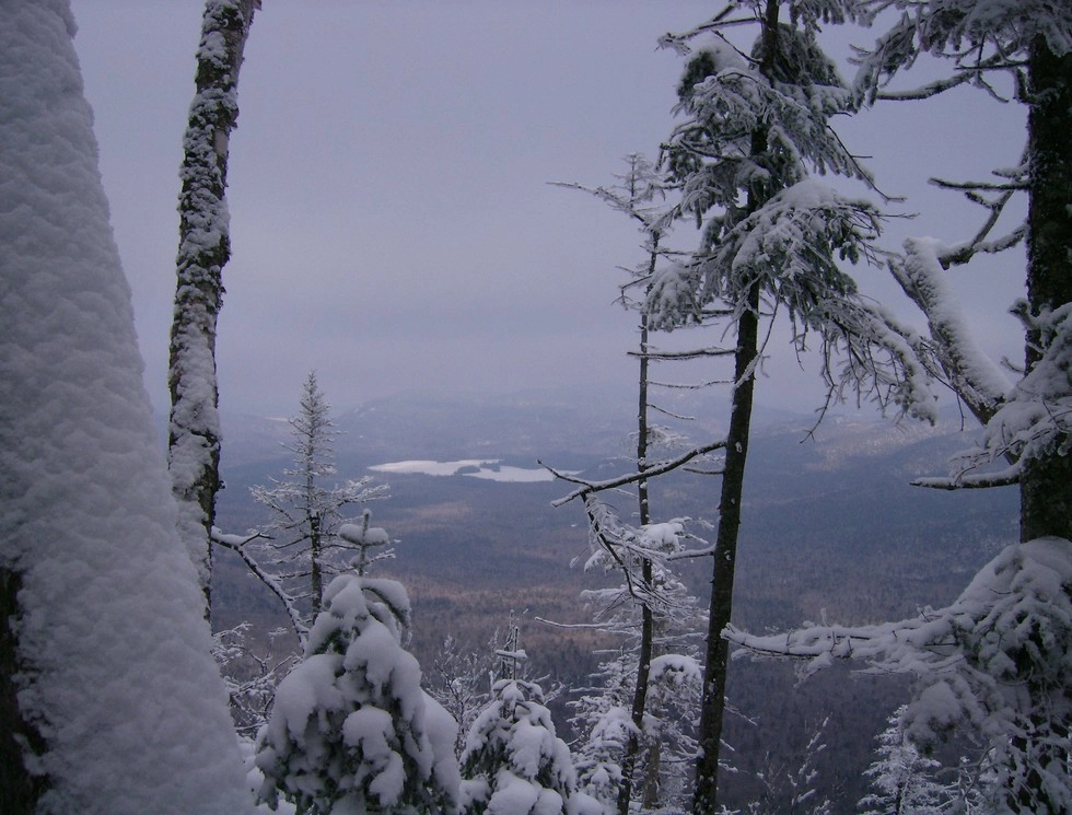 A winter view through the trees on a peak