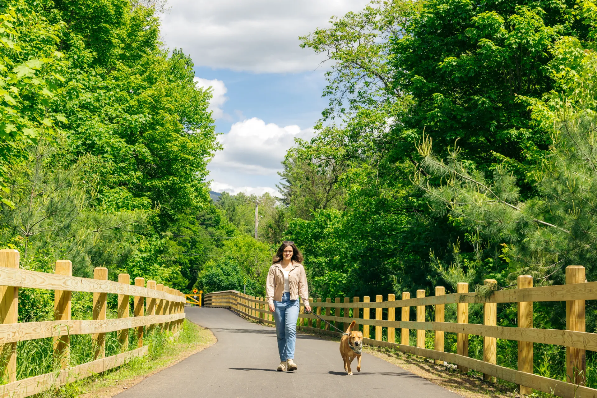 A woman walks her dogs on a rail trail
