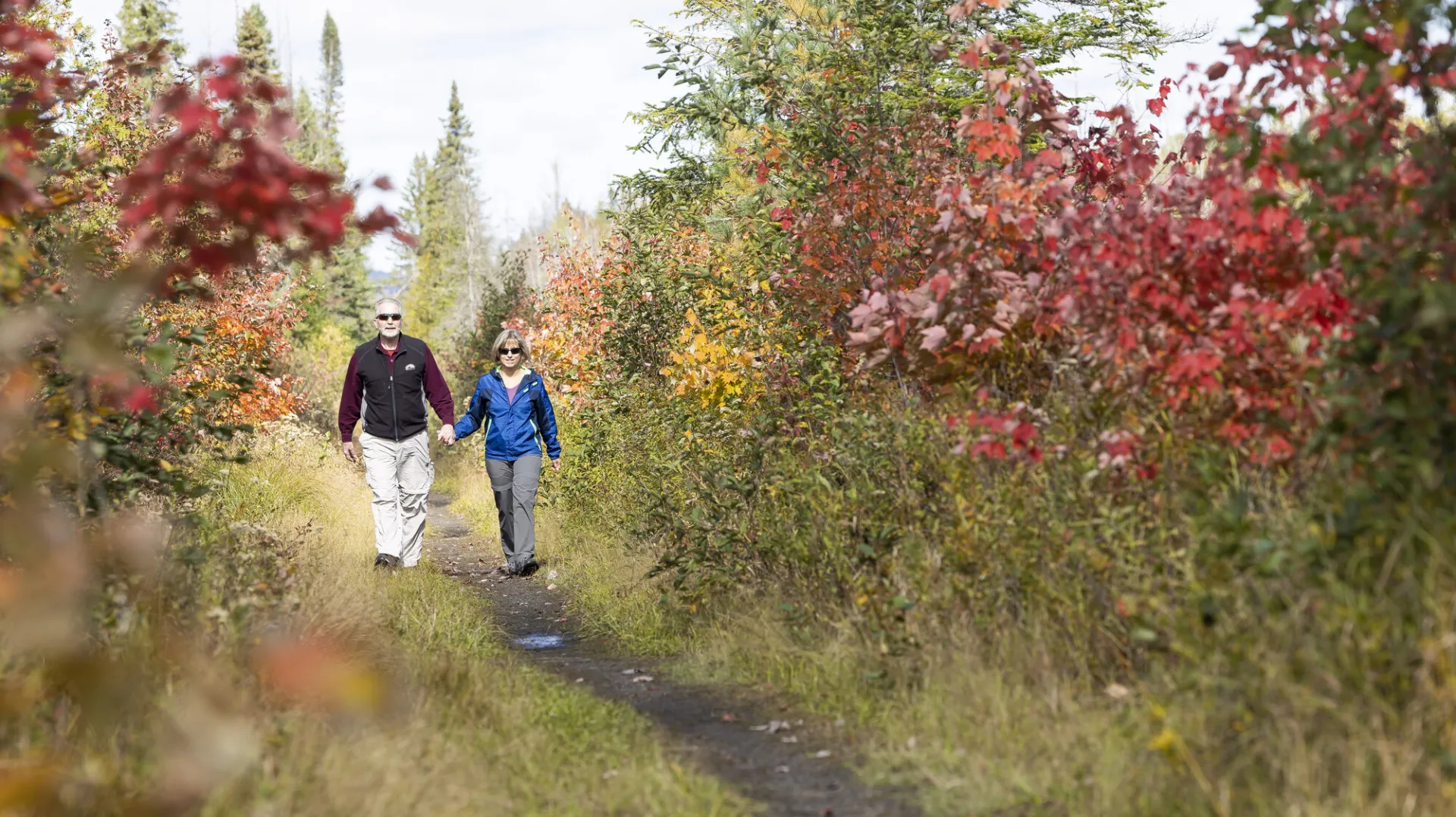 An older couple walking on the Bloomingdale Bog Trail in the fall
