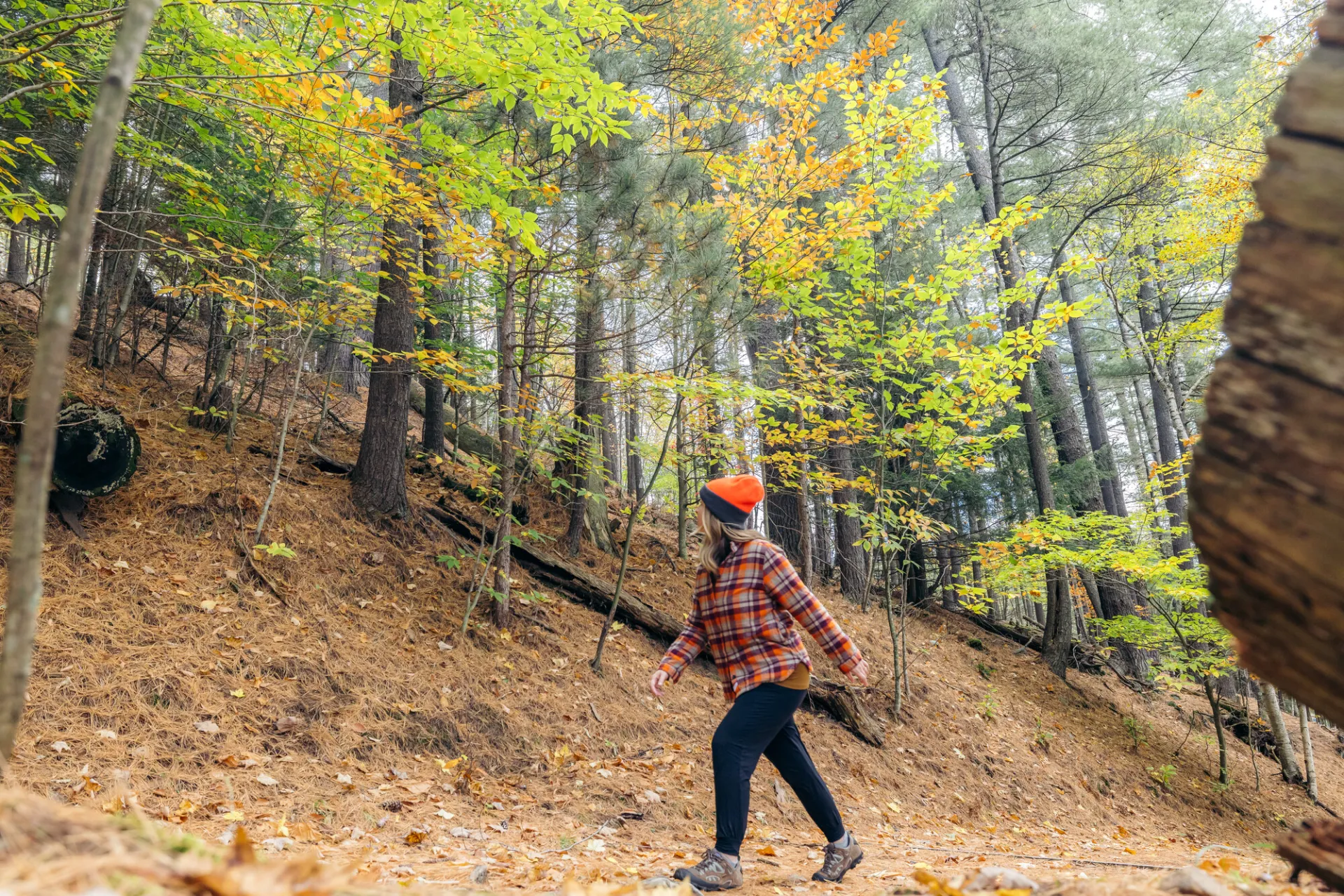 A woman walks in flame orange colored clothing on a fall trail.