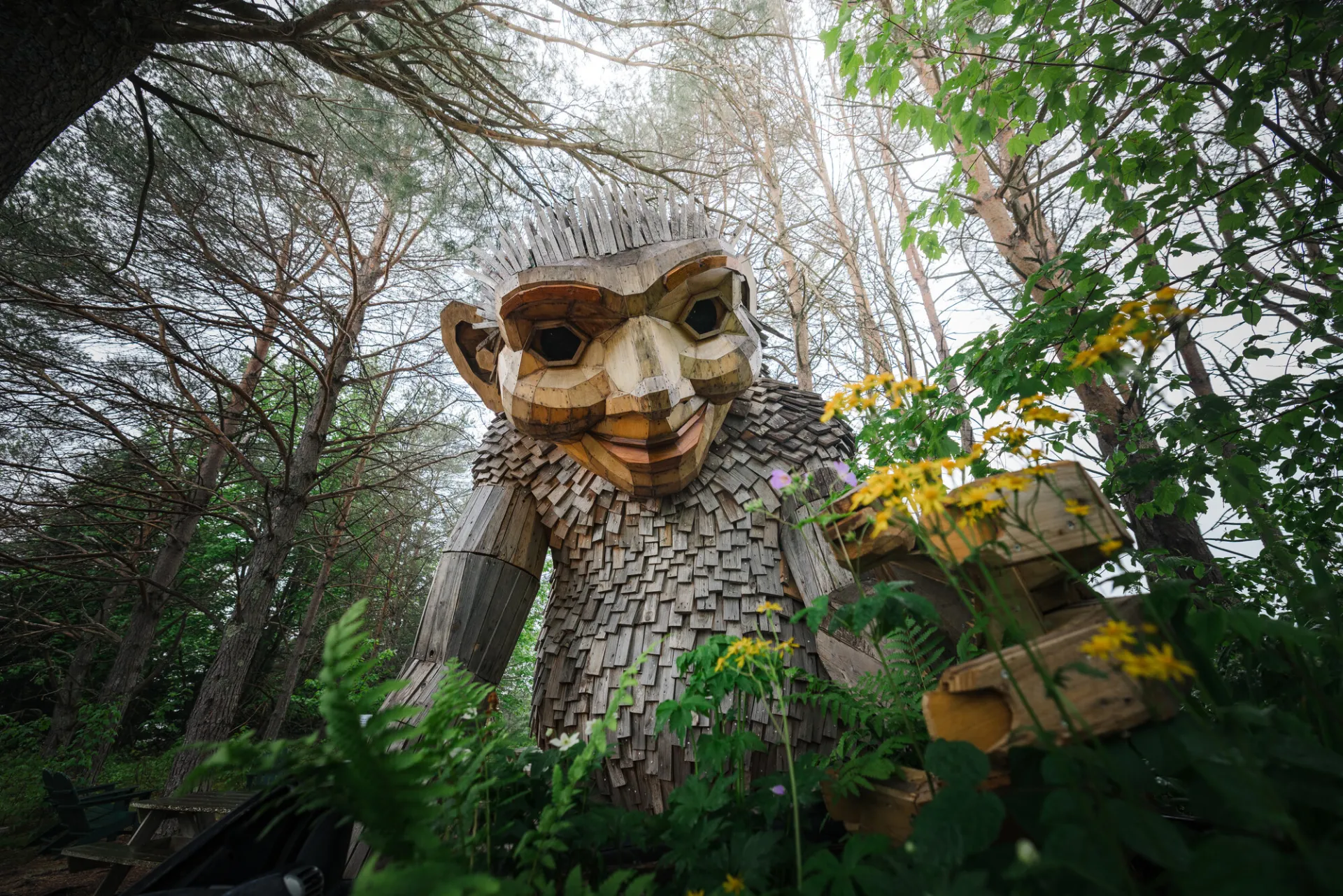 Trolls at the Wild Center