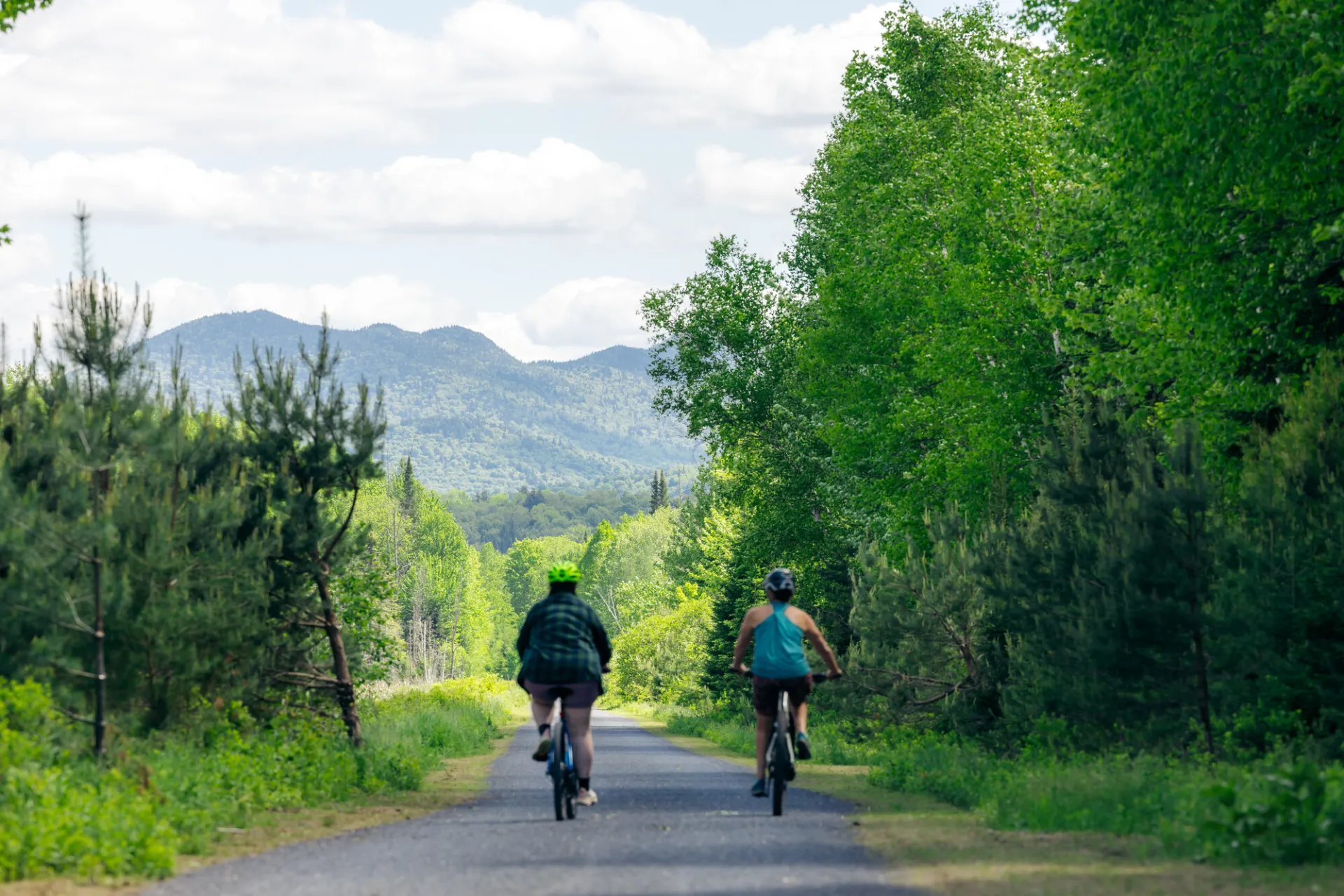 Two women ride bikes on a green wilderness trail. 
