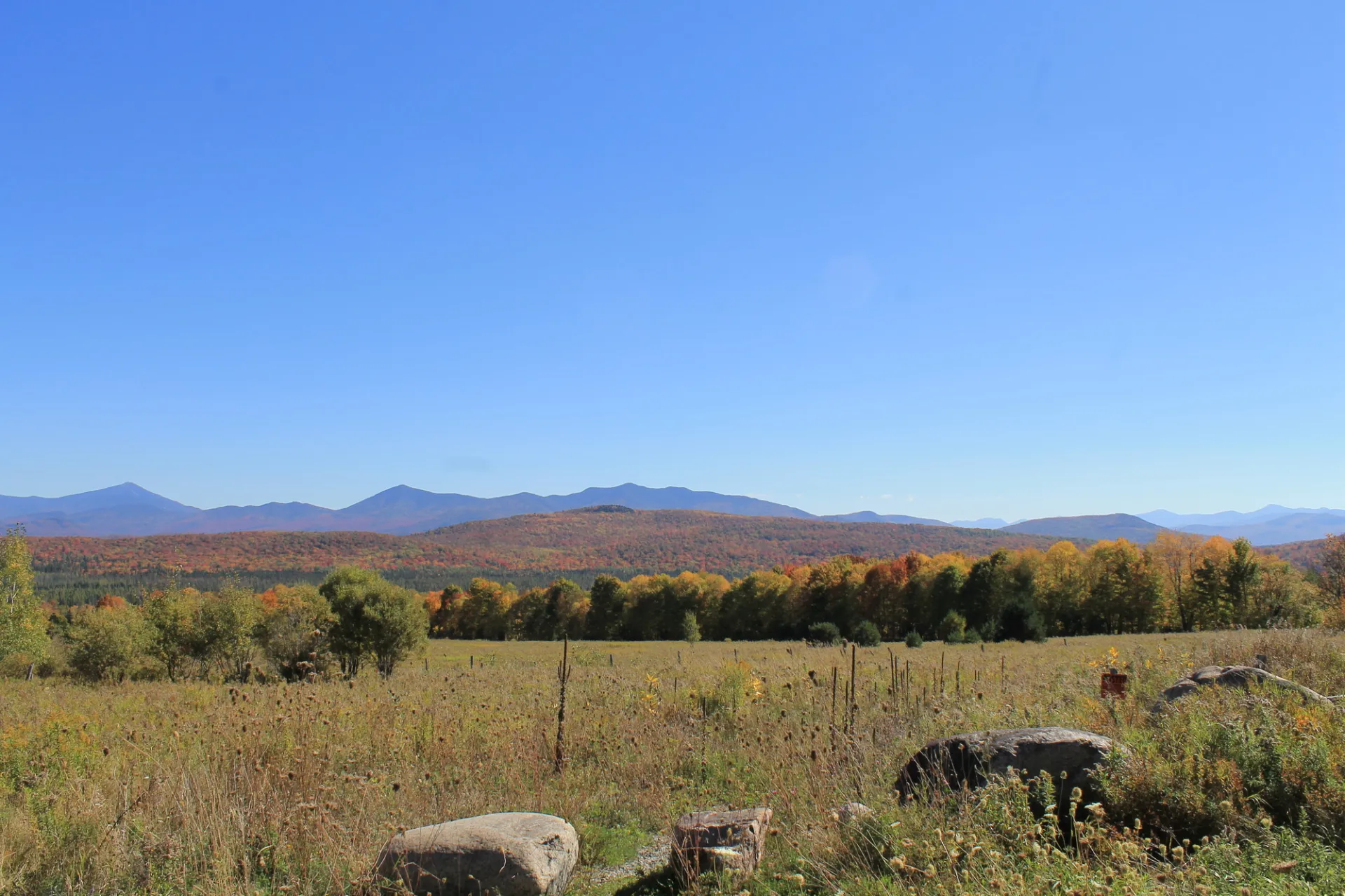 A view of a mountain range in fall from a field.