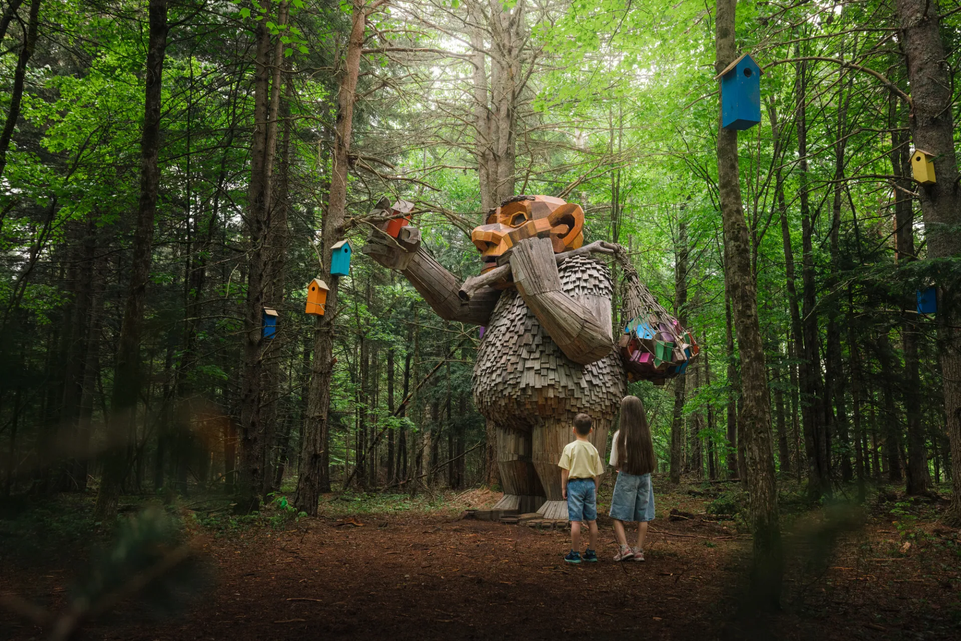 Discover the Trolls