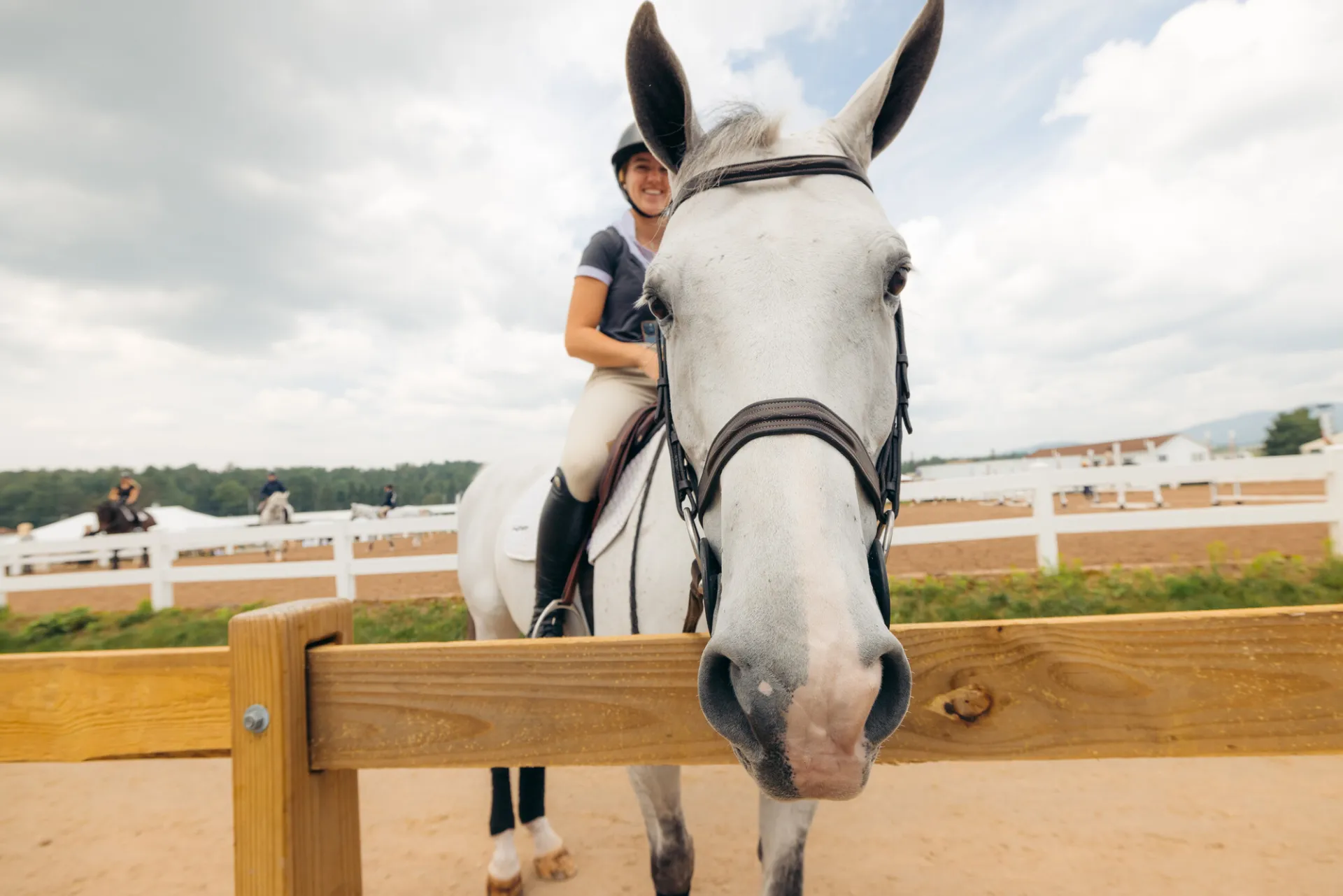 A straight on view of a silly white horse and a smiling rider