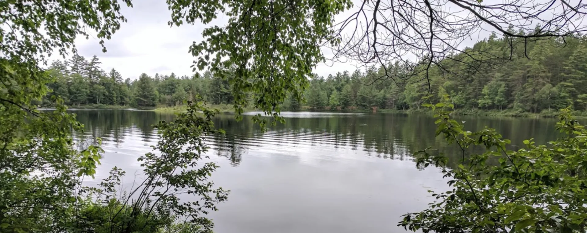 Use the boat launch, and more, for a small day use fee.