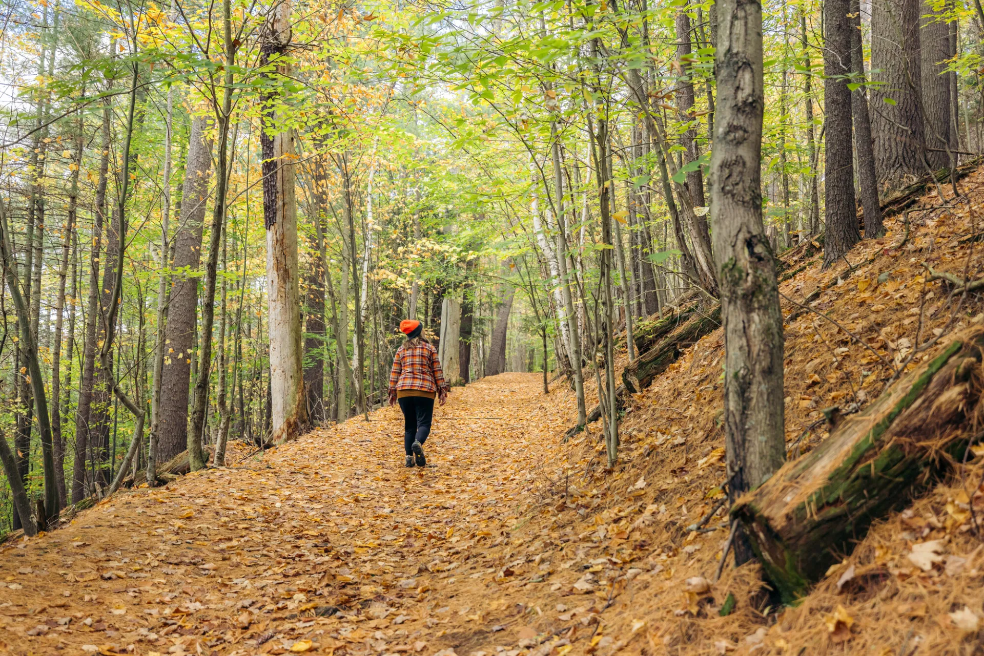 A woman walks up a trail in fall with foliage on the ground.