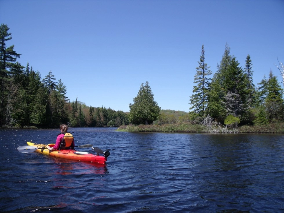 A kayaker nears the shore