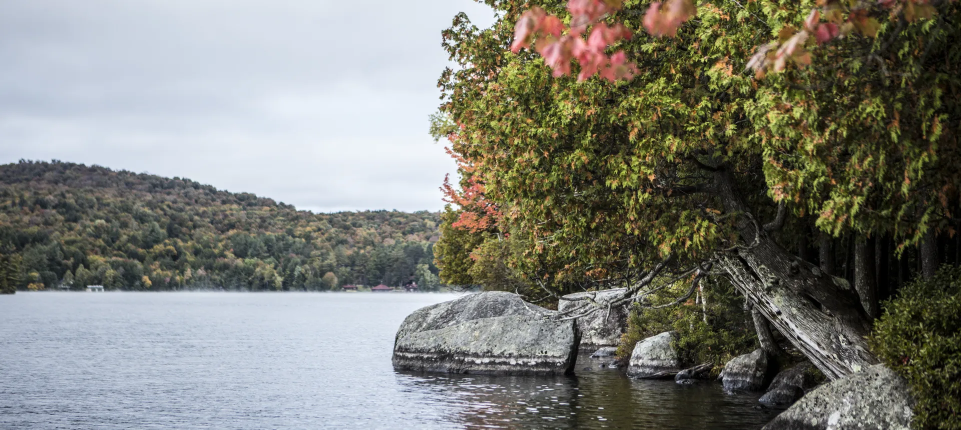 Shoreline trees start to show vibrant fall colors. 