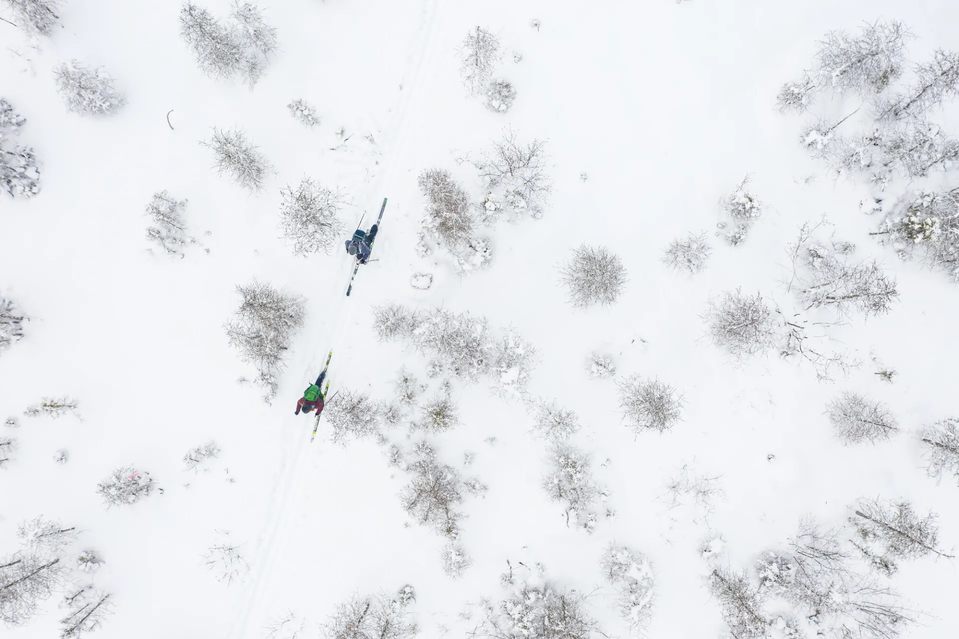 Cross-country skiing in Saranac Lake.