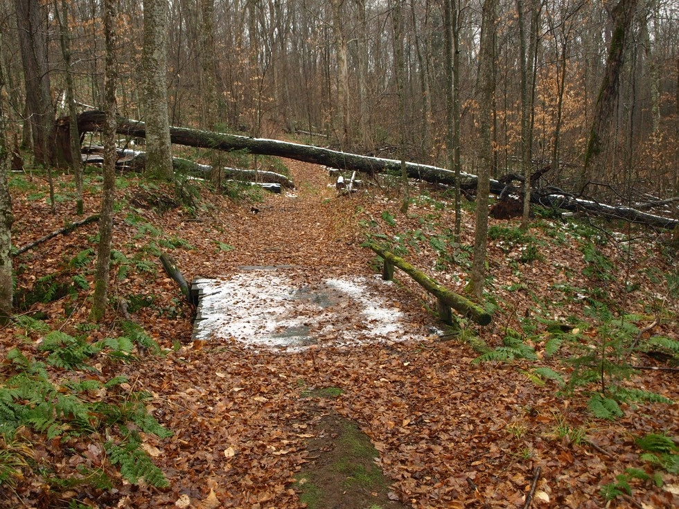 This trail is open up to the lean-to in spring. Walk through to mud to protect the trail.