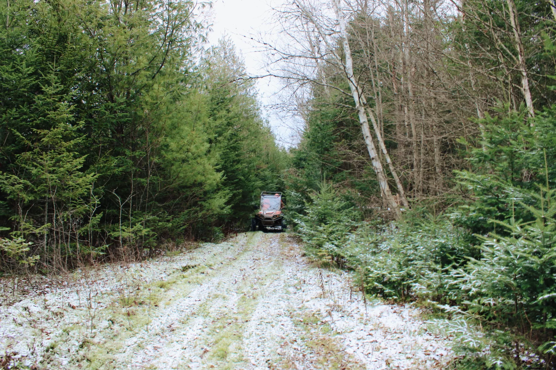 A side by side navigates a narrow patch of path between pine trees over freshly fallen early season snow 
