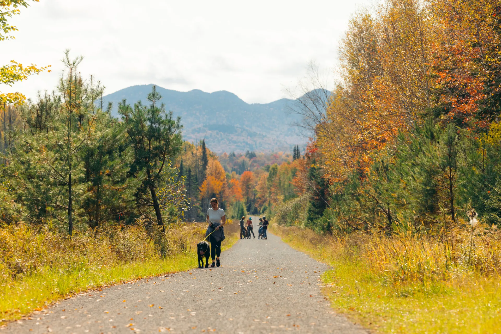 People walk on a nature trail in fall on a sunny day.