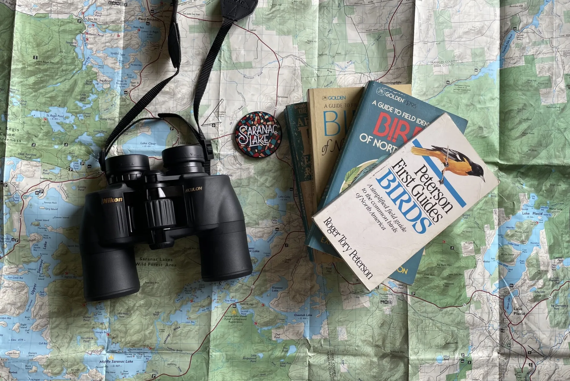 Birding in Saranac Lake.