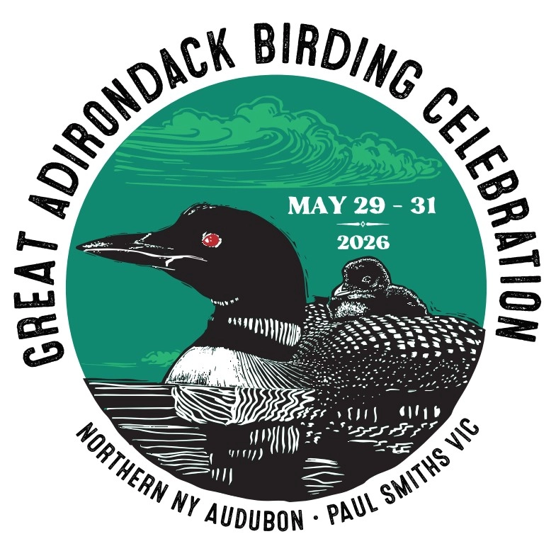 Great adirondack birding  celebration May 29, 30, 31 2026
