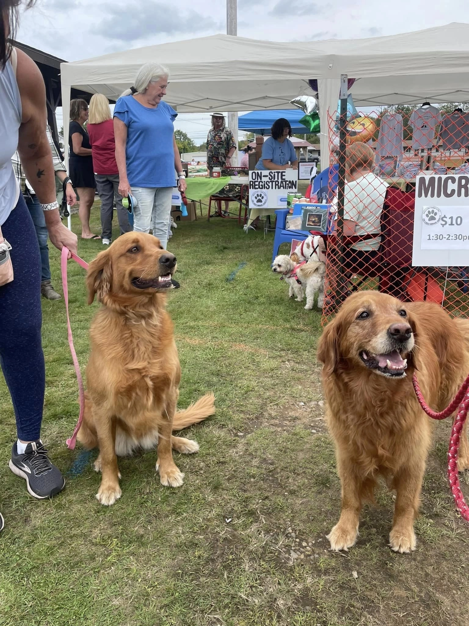 ADK Bark in the Park with 2 goldens in the front/center