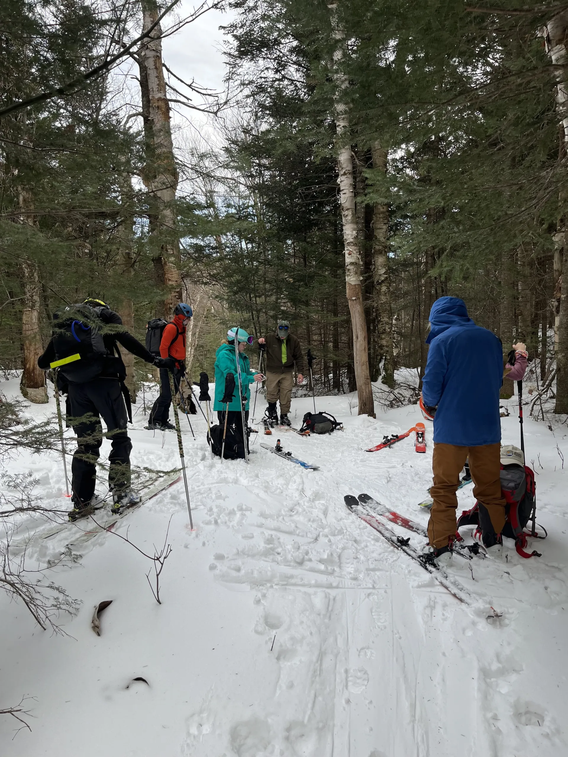 Group of back country skiiers take a break