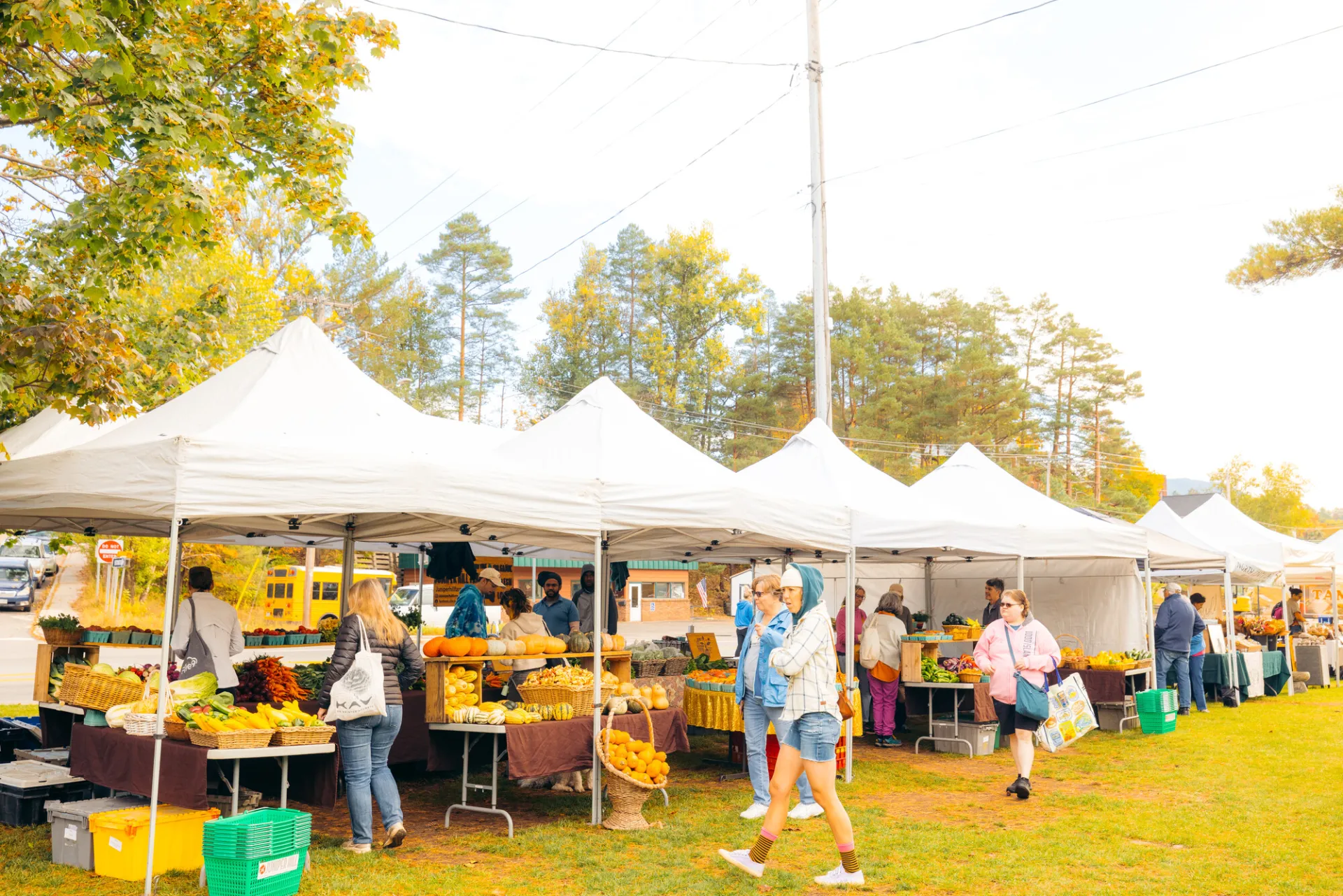 A farmers market on a fall day. 